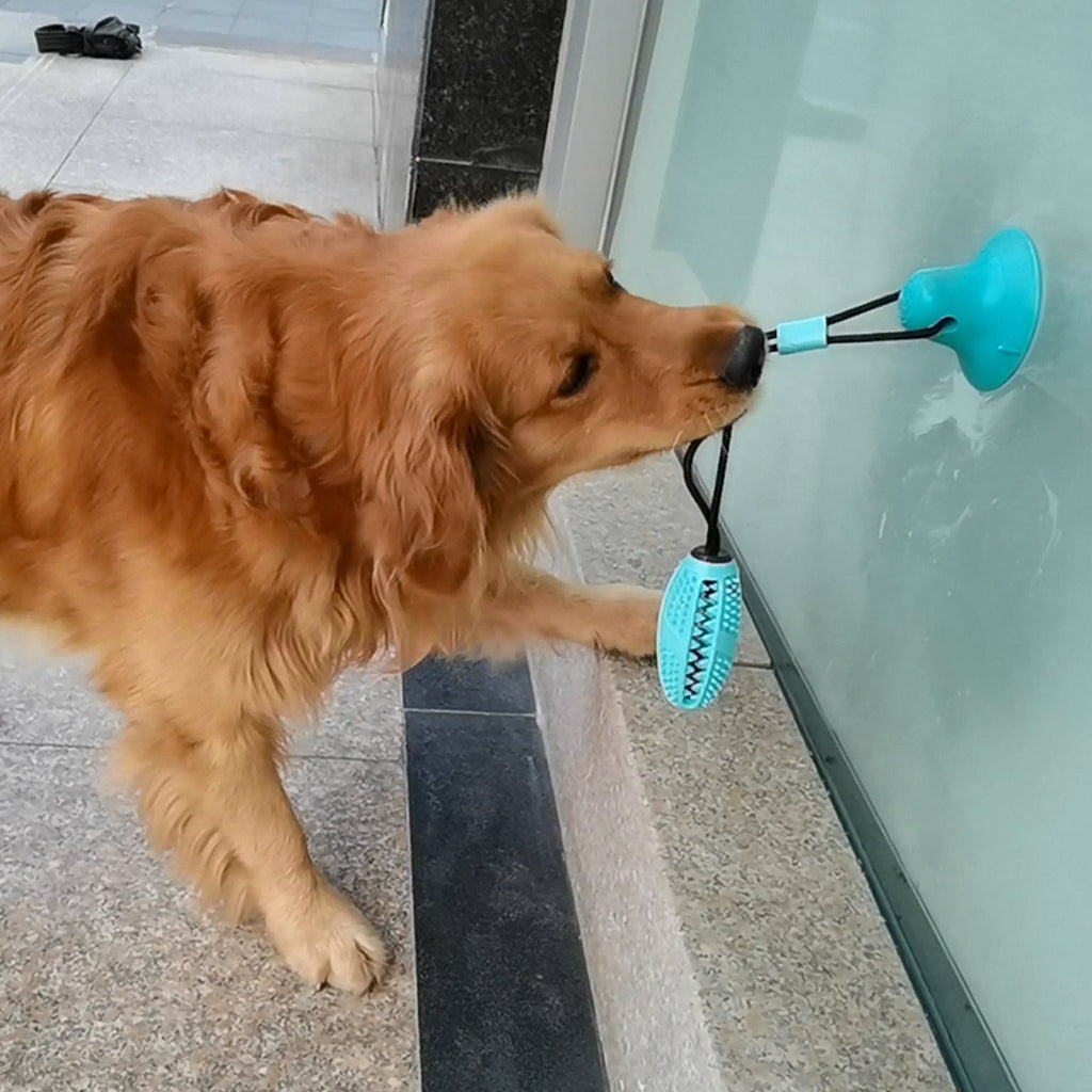 Zupeli™ – Juguete Mordedor con Ventosa para Perros