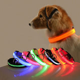 adjustable usb charging dog collar