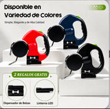 retractable dog leash for two dogs
