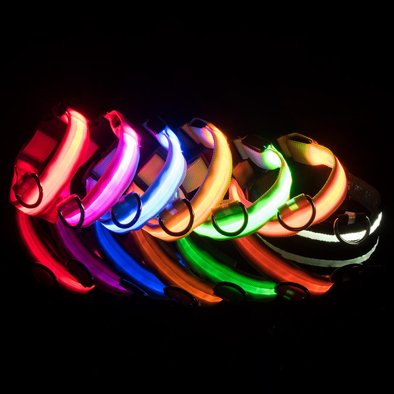 Collar LED Ajustable para Perros con Carga USB